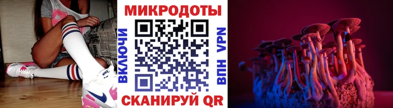 дарнет шоп Уссурийск Галлюциногенные грибы Psilocybe